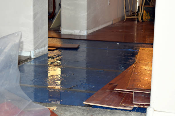 Professional Water Damage Restoration technician working in Scranton, NC